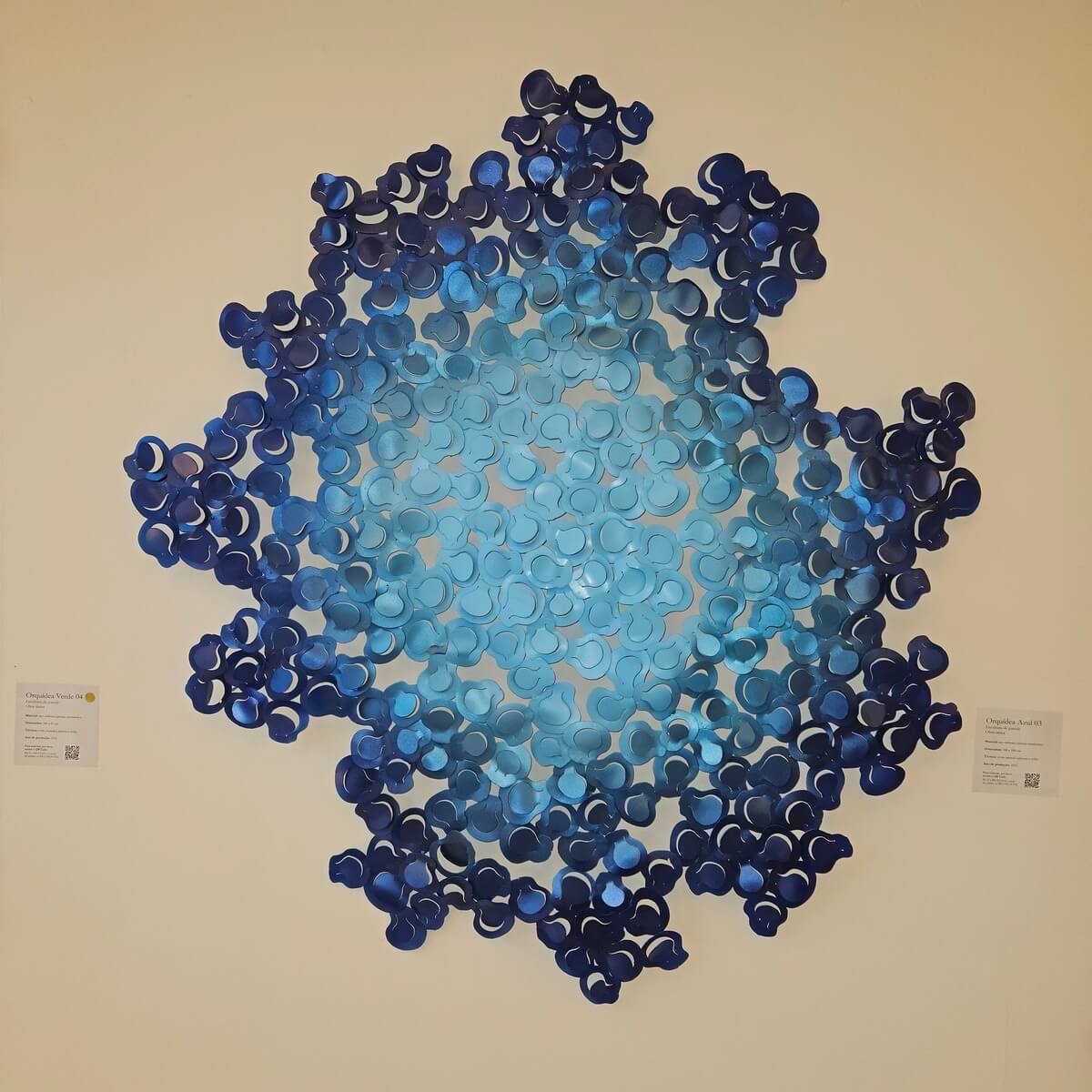 EXPOSIÇÃO MAIO 25 rrr